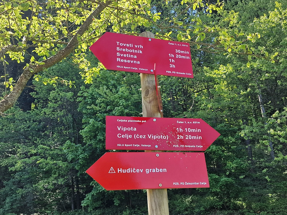 Slika je vidna v Google Chromu.