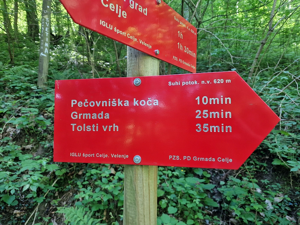 Slika je vidna v Google Chromu.