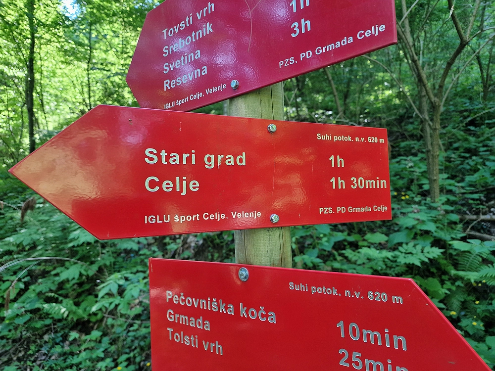 Slika je vidna v Google Chromu.