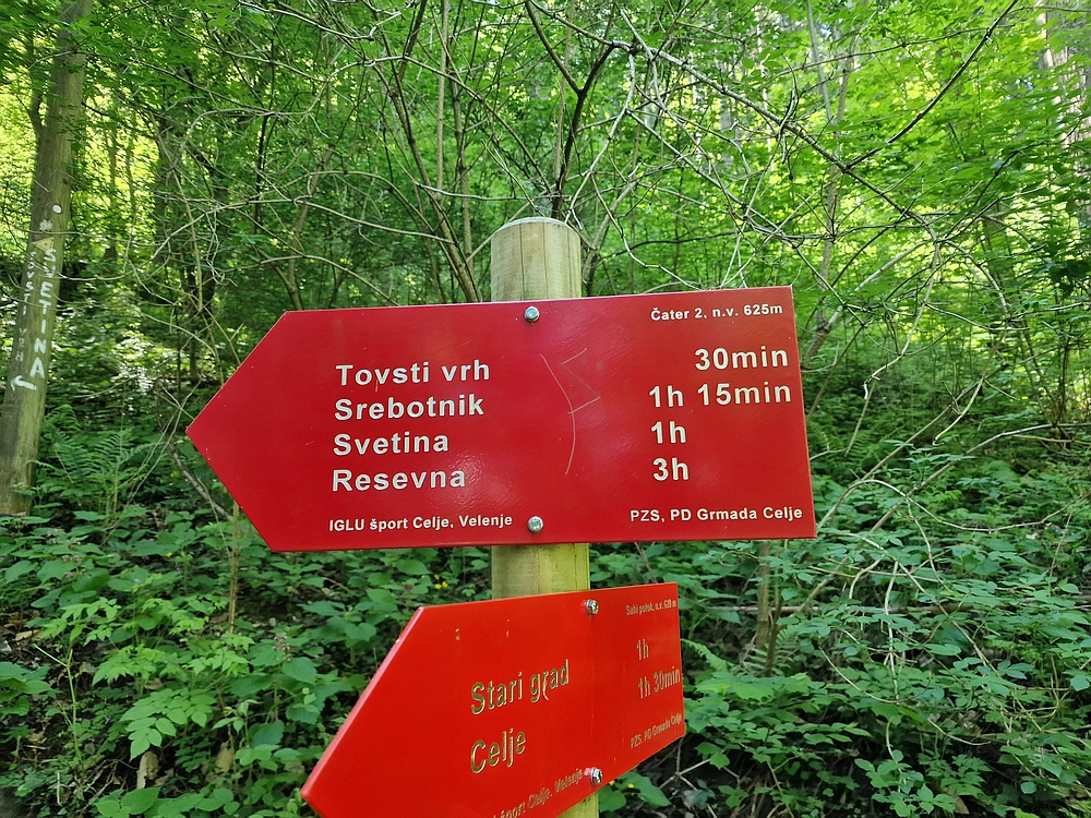 Slika je vidna v Google Chromu.