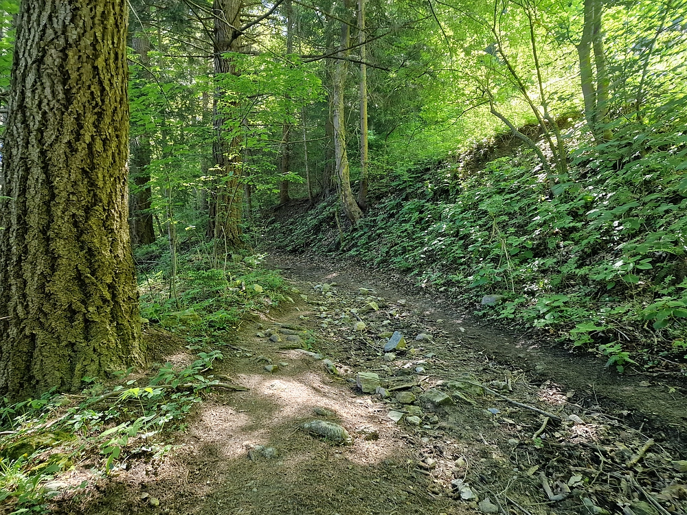 Slika je vidna v Google Chromu.