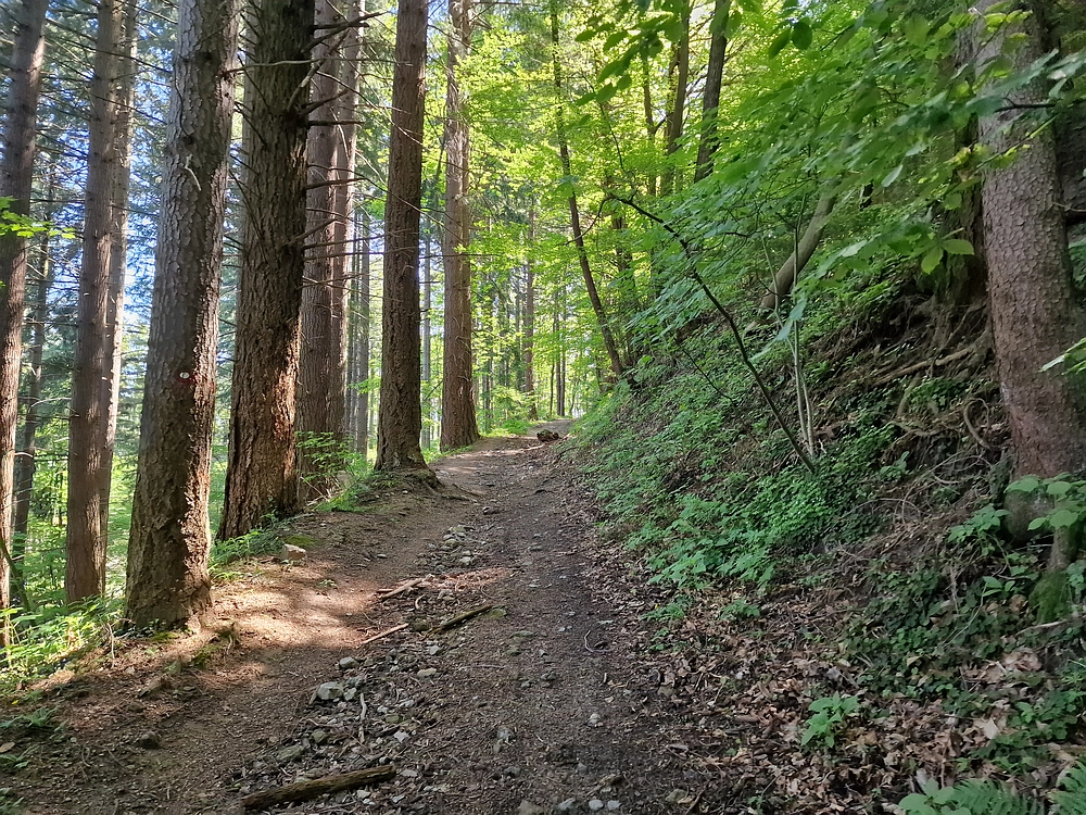 Slika je vidna v Google Chromu.