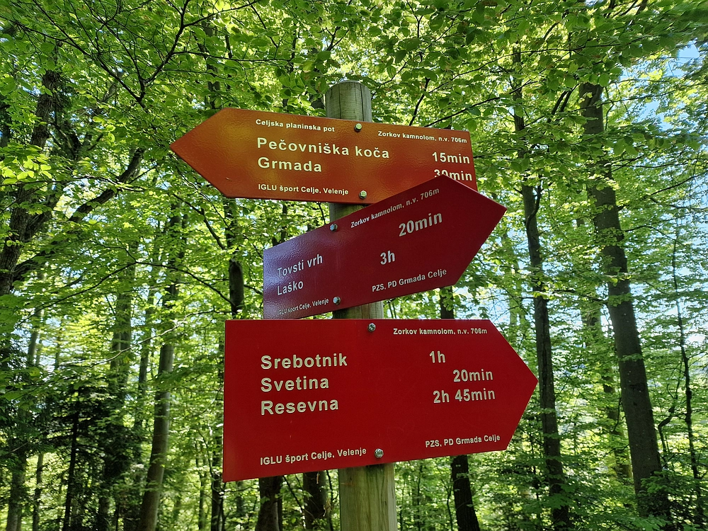 Slika je vidna v Google Chromu.