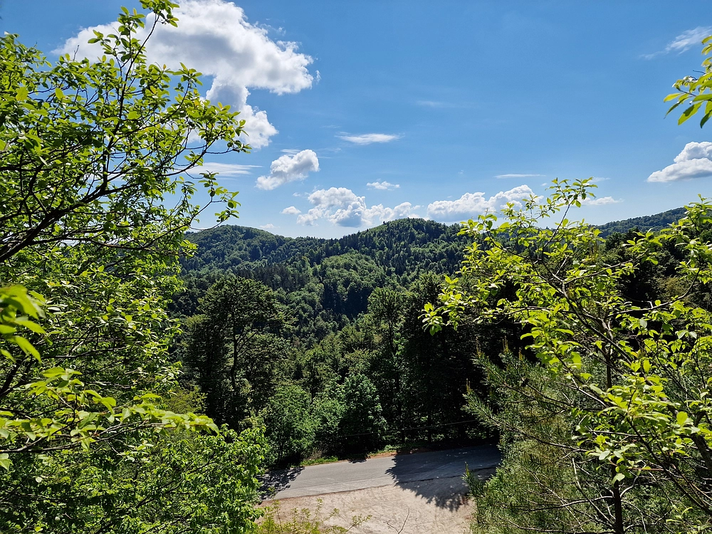 Slika je vidna v Google Chromu.