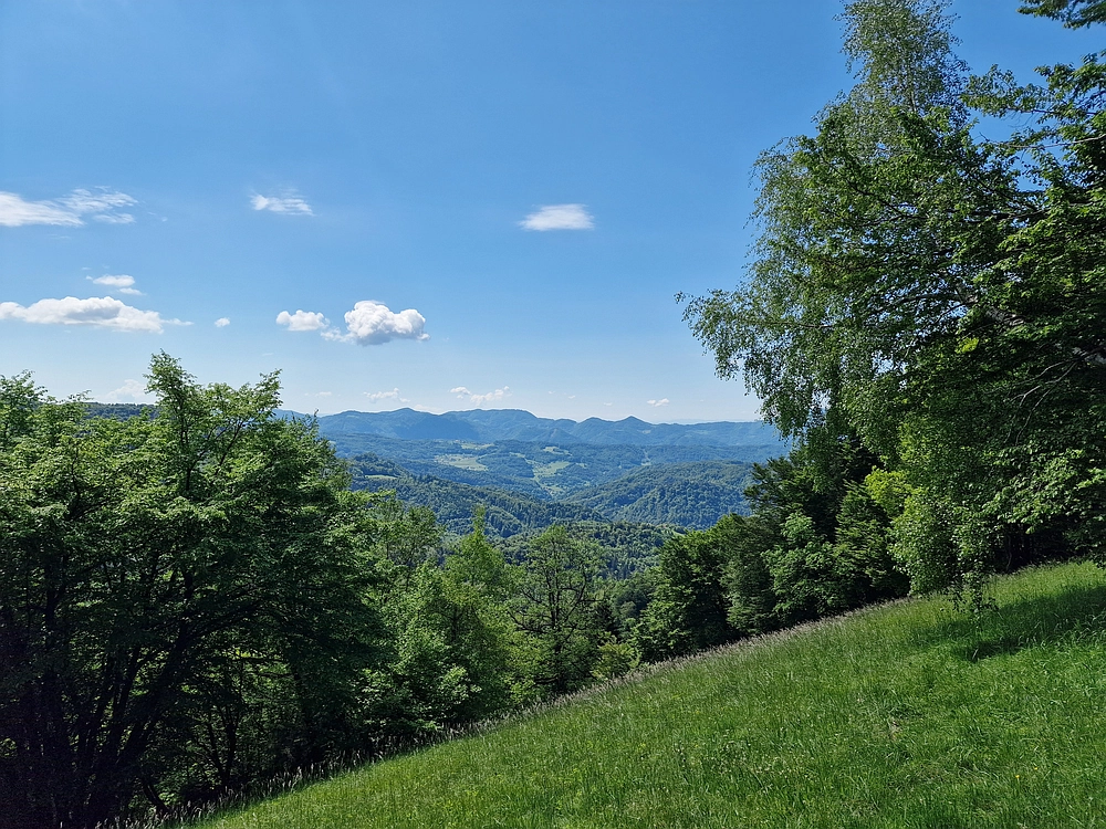 Slika je vidna v Google Chromu.