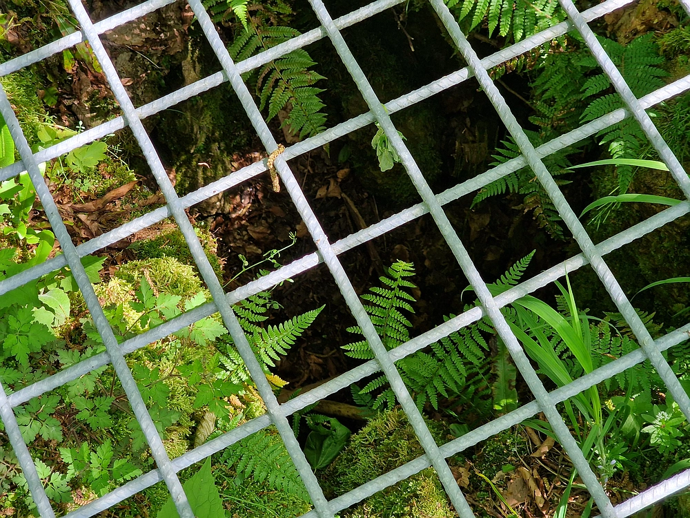 Slika je vidna v Google Chromu.