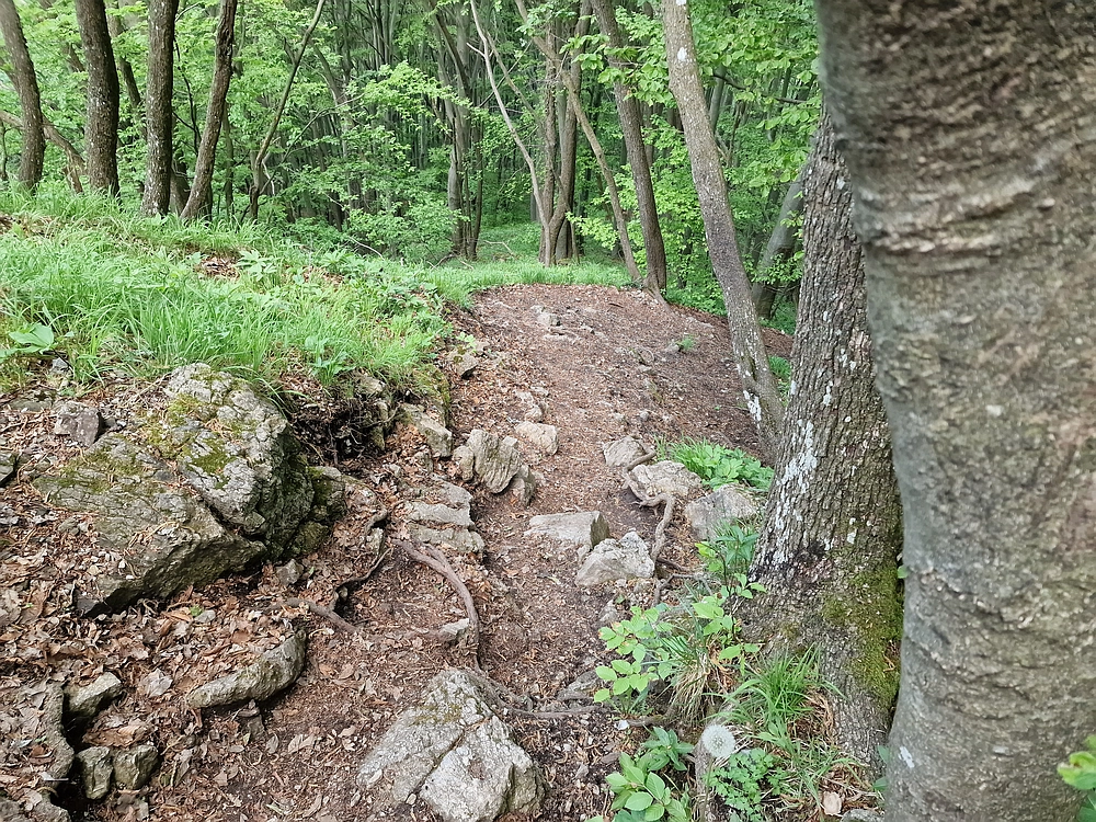 Slika je vidna v Google Chromu.