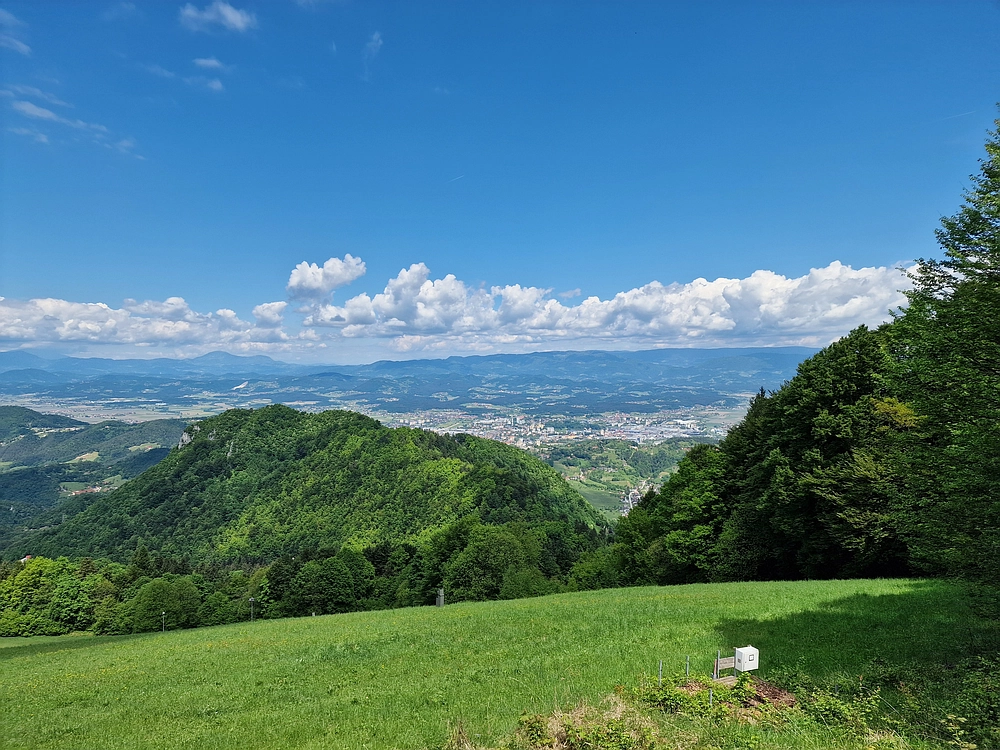 Slika je vidna v Google Chromu.