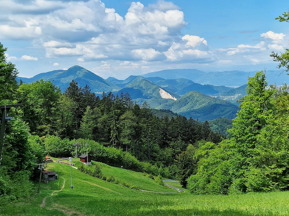 Slika je vidna v Google Chromu.