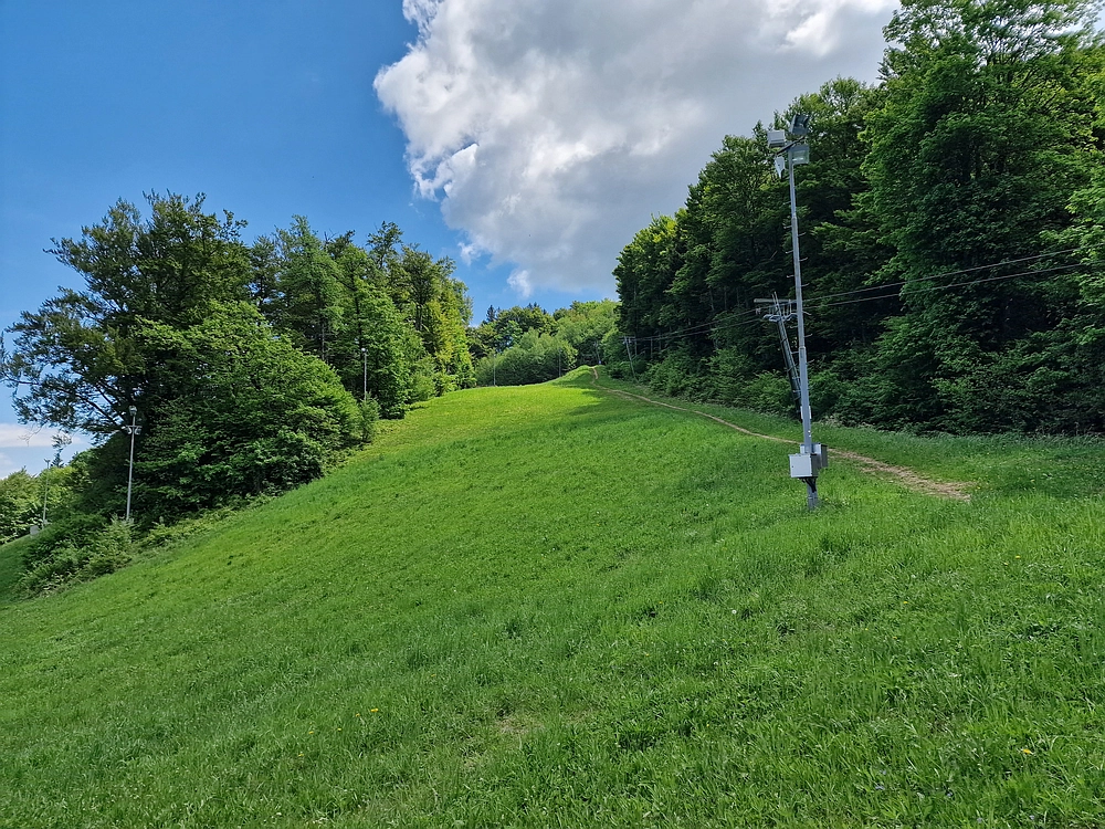 Slika je vidna v Google Chromu.