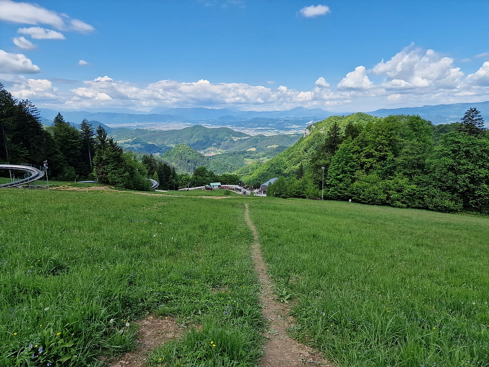Slika je vidna v Google Chromu.