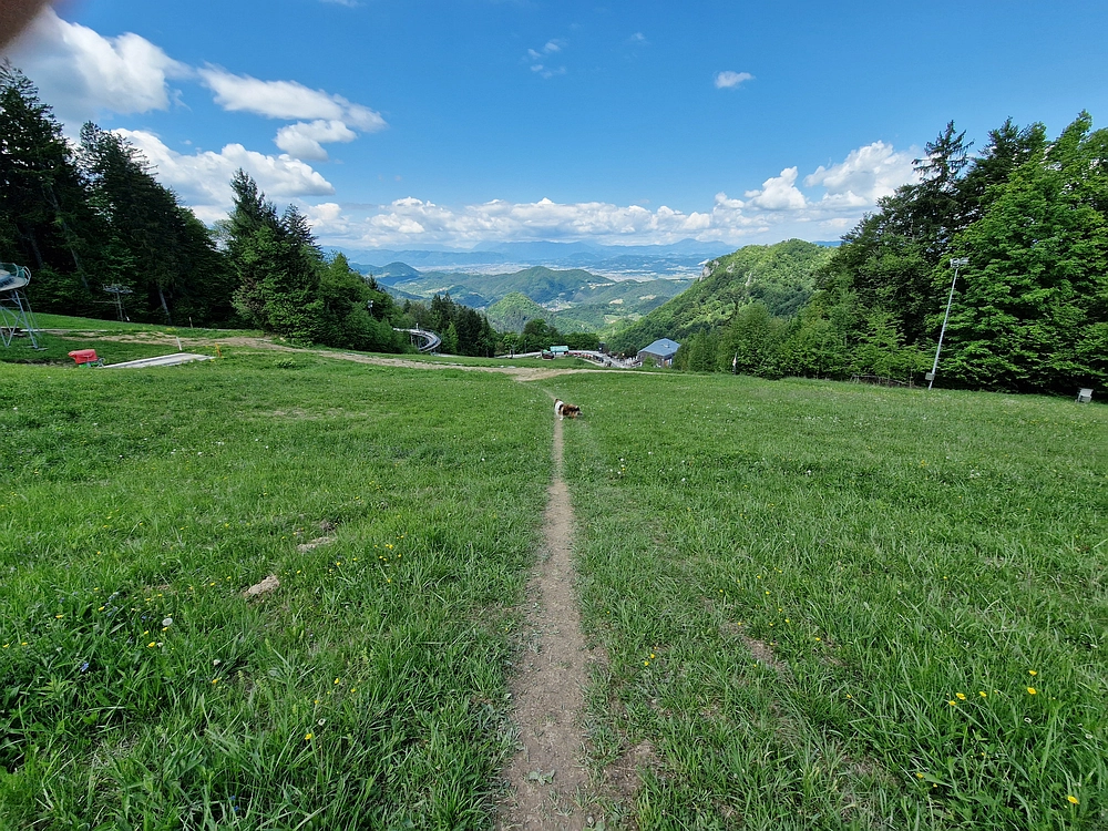 Slika je vidna v Google Chromu.