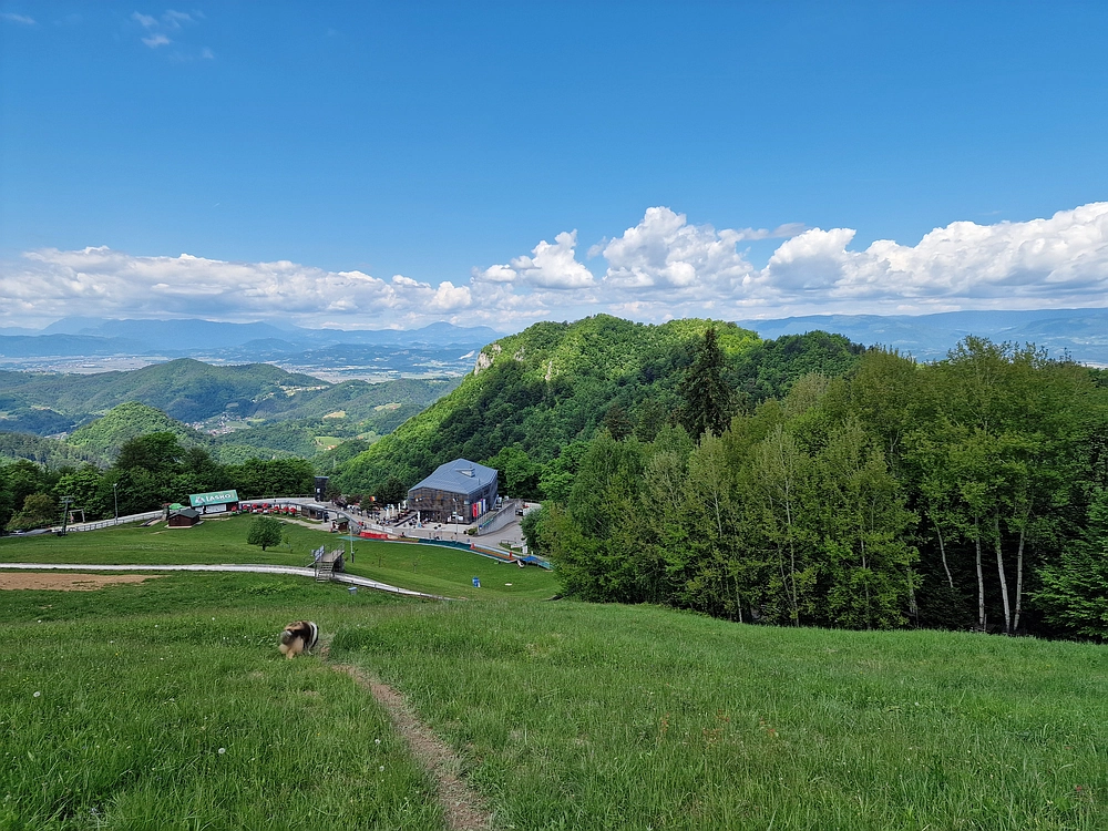 Slika je vidna v Google Chromu.
