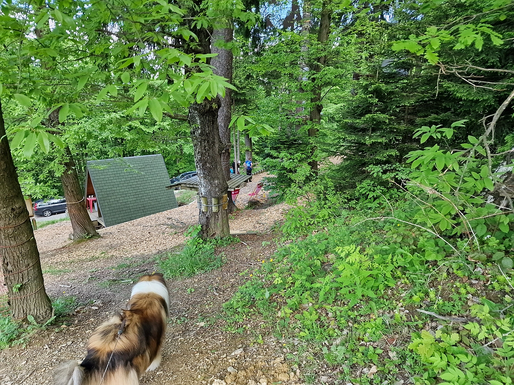 Slika je vidna v Google Chromu.