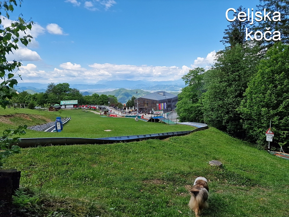 Slika je vidna v Google Chromu.