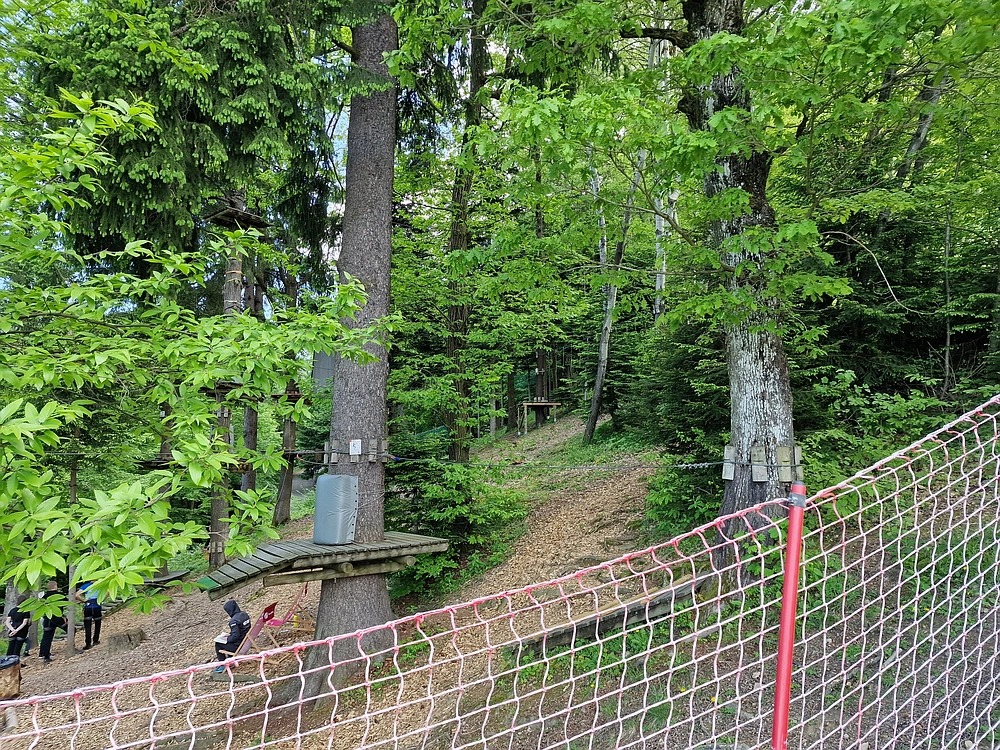 Slika je vidna v Google Chromu.