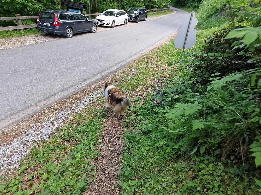 Slika je vidna v Google Chromu.