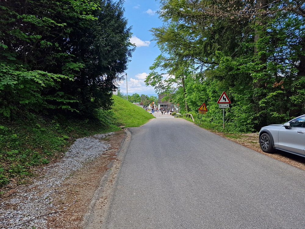 Slika je vidna v Google Chromu.