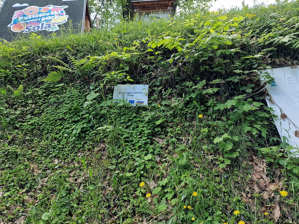 Slika je vidna v Google Chromu.