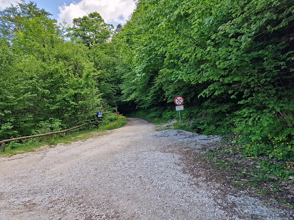 Slika je vidna v Google Chromu.