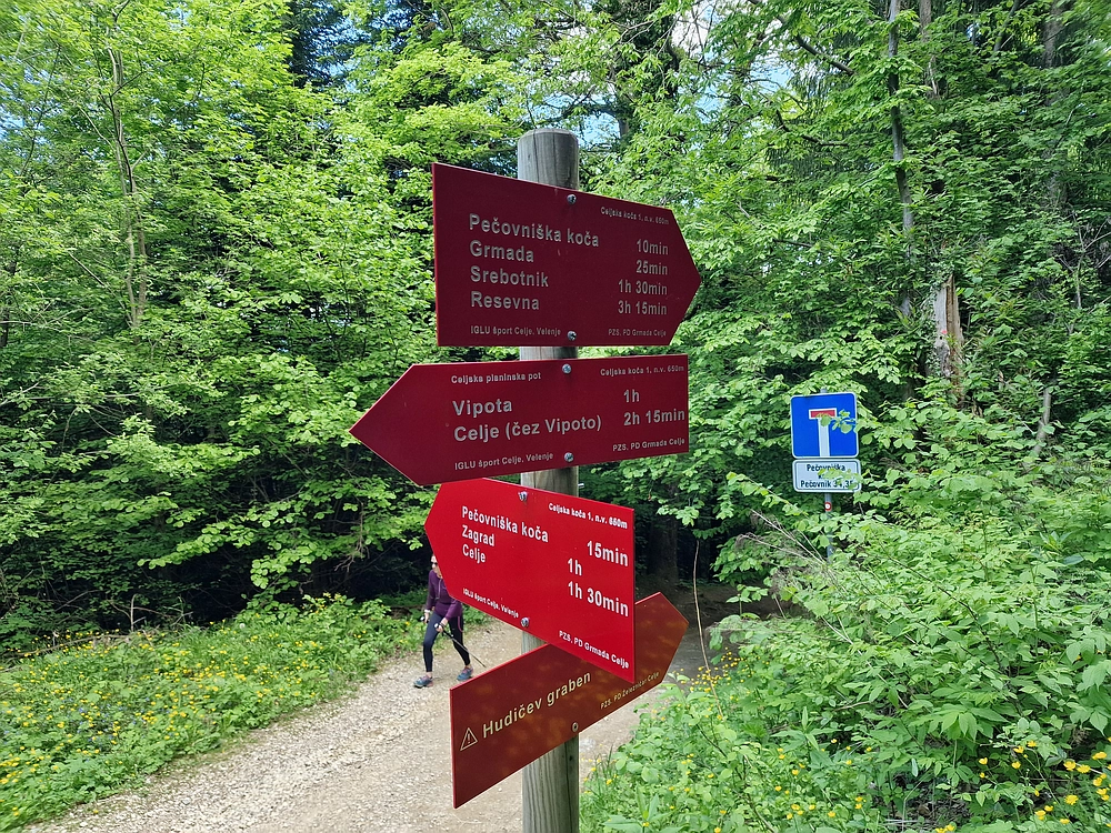 Slika je vidna v Google Chromu.