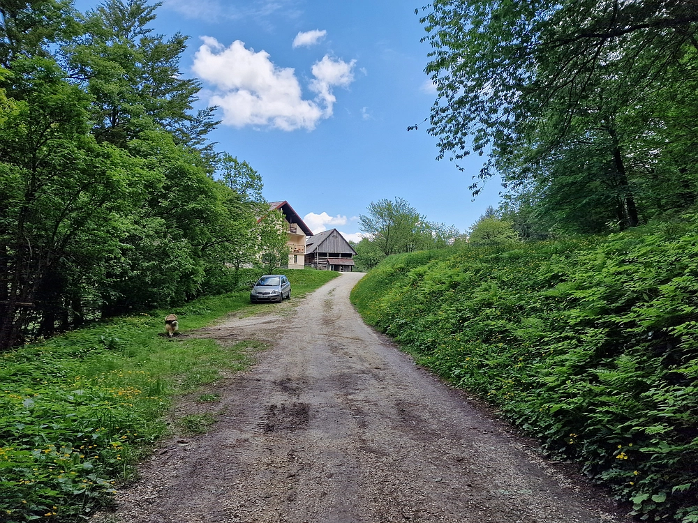 Slika je vidna v Google Chromu.