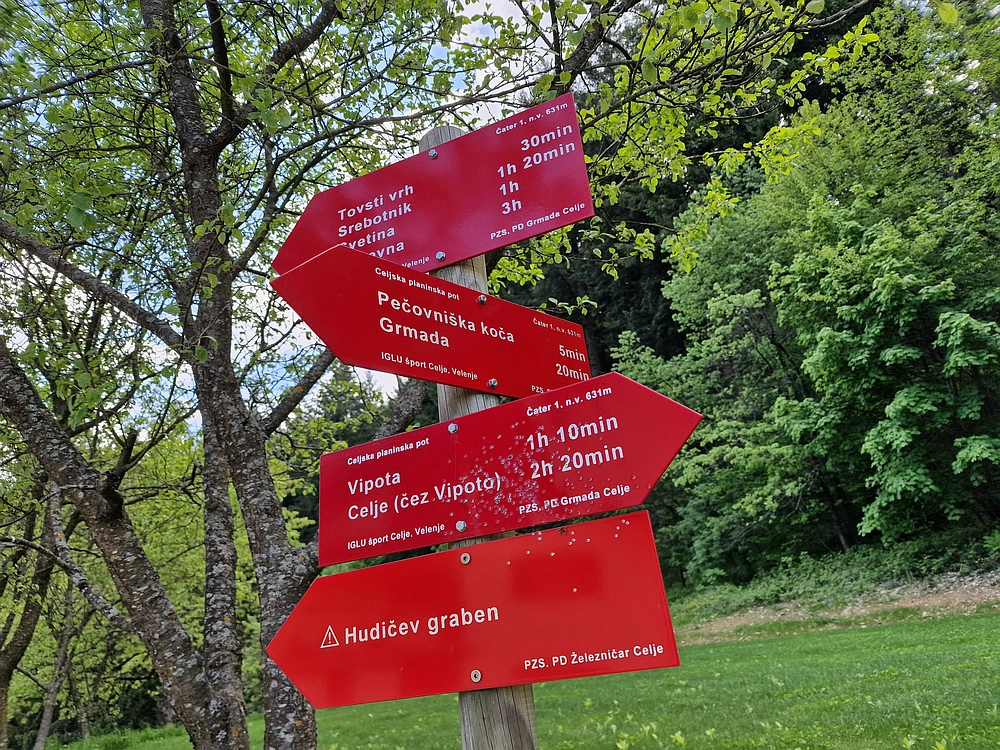 Slika je vidna v Google Chromu.