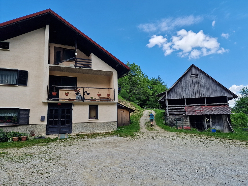 Slika je vidna v Google Chromu.