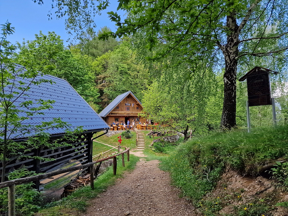 Slika je vidna v Google Chromu.