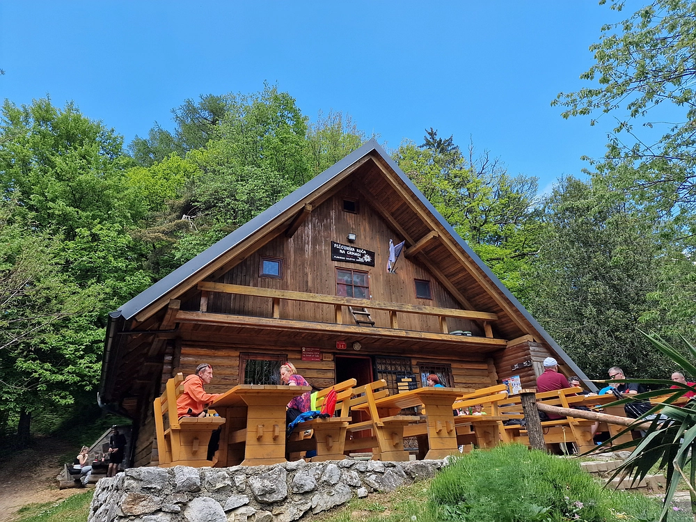 Slika je vidna v Google Chromu.