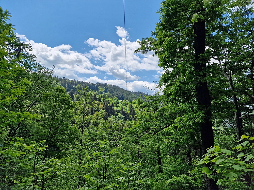 Slika je vidna v Google Chromu.