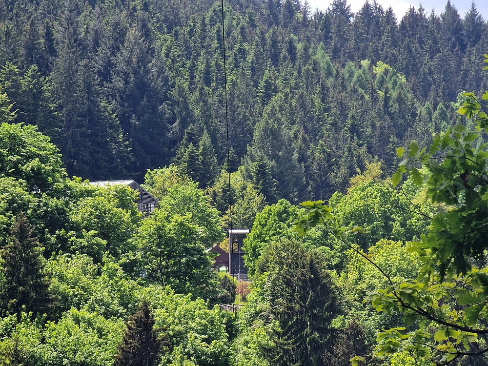 Slika je vidna v Google Chromu.