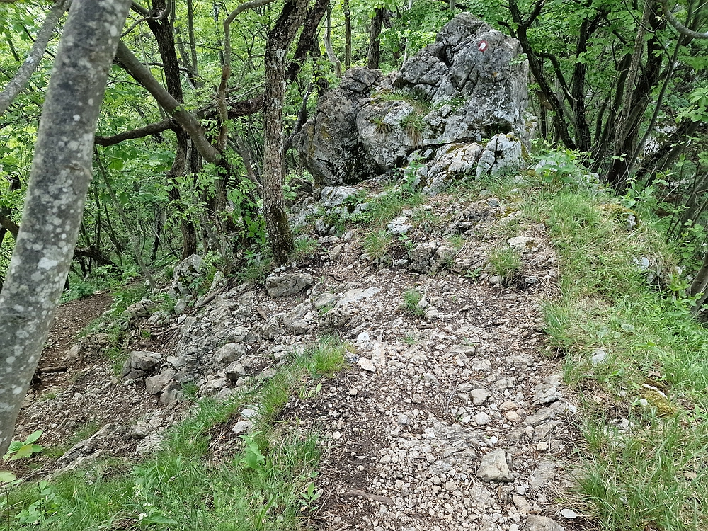 Slika je vidna v Google Chromu.