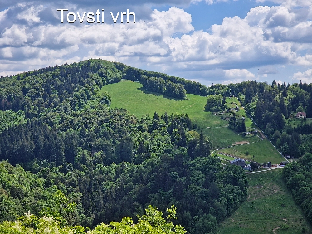 Slika je vidna v Google Chromu.