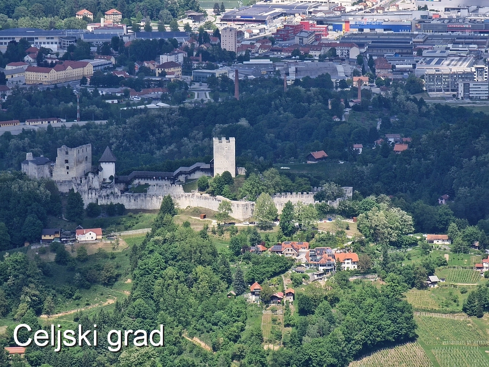 Slika je vidna v Google Chromu.