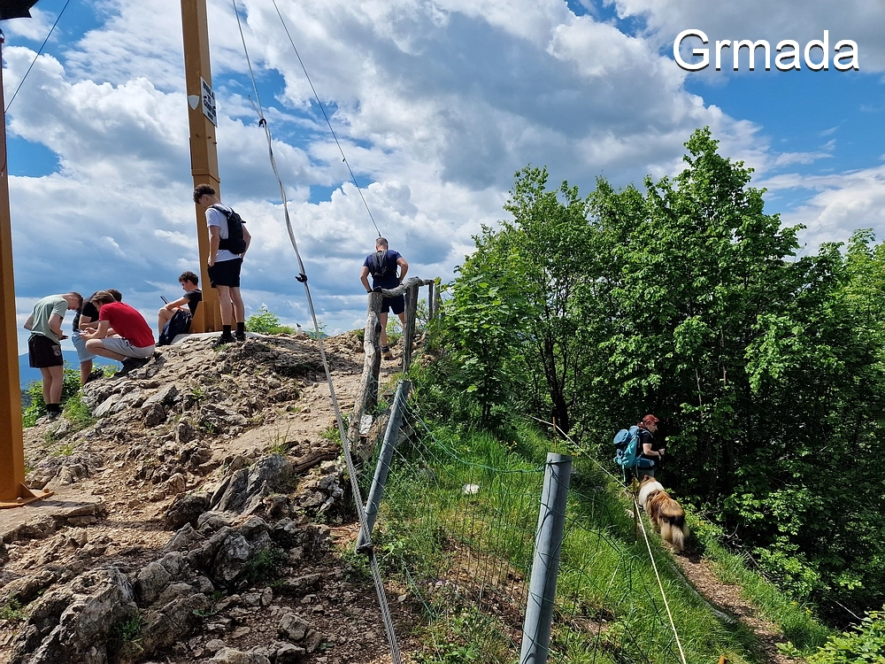 Slika je vidna v Google Chromu.