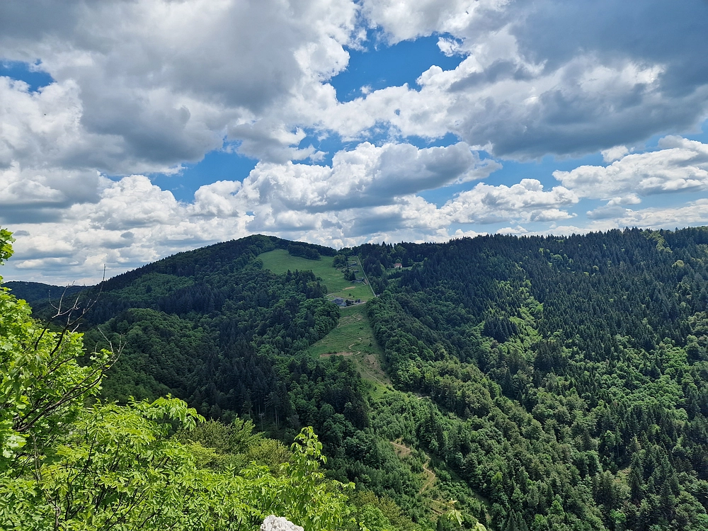 Slika je vidna v Google Chromu.
