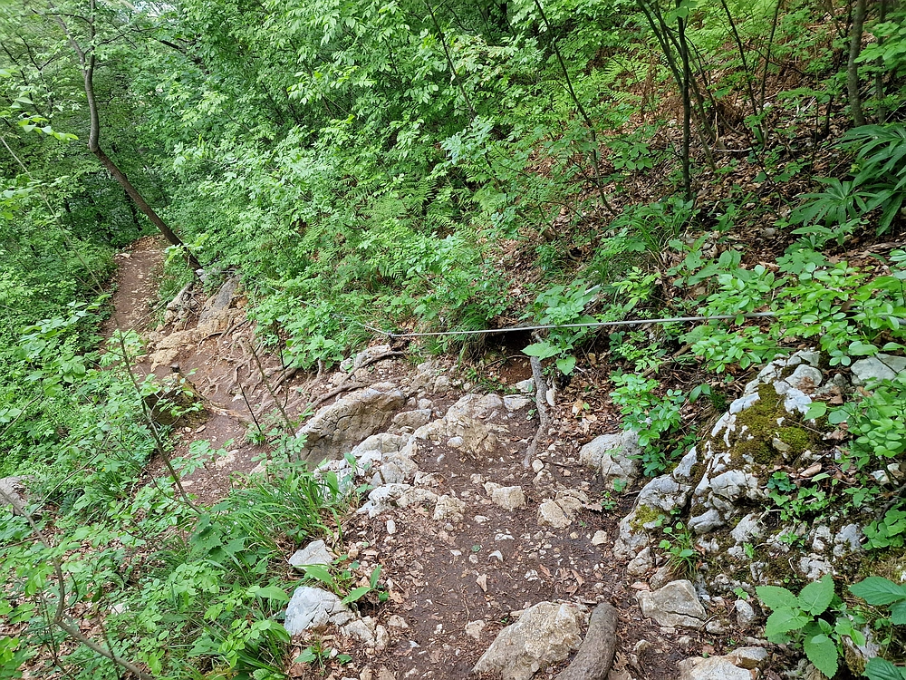 Slika je vidna v Google Chromu.