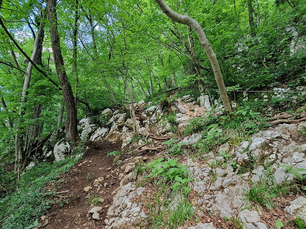 Slika je vidna v Google Chromu.