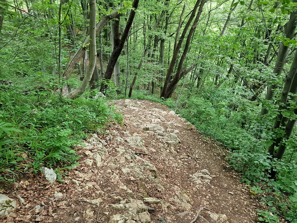 Slika je vidna v Google Chromu.