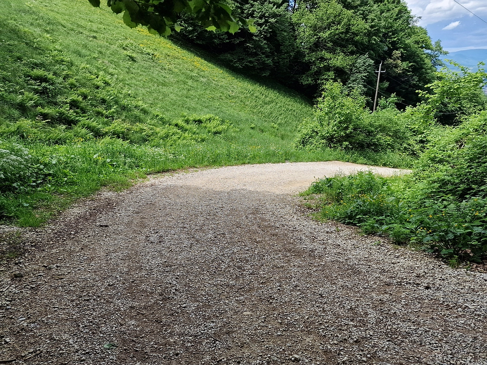 Slika je vidna v Google Chromu.