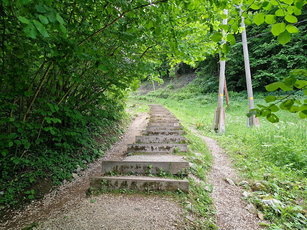 Slika je vidna v Google Chromu.