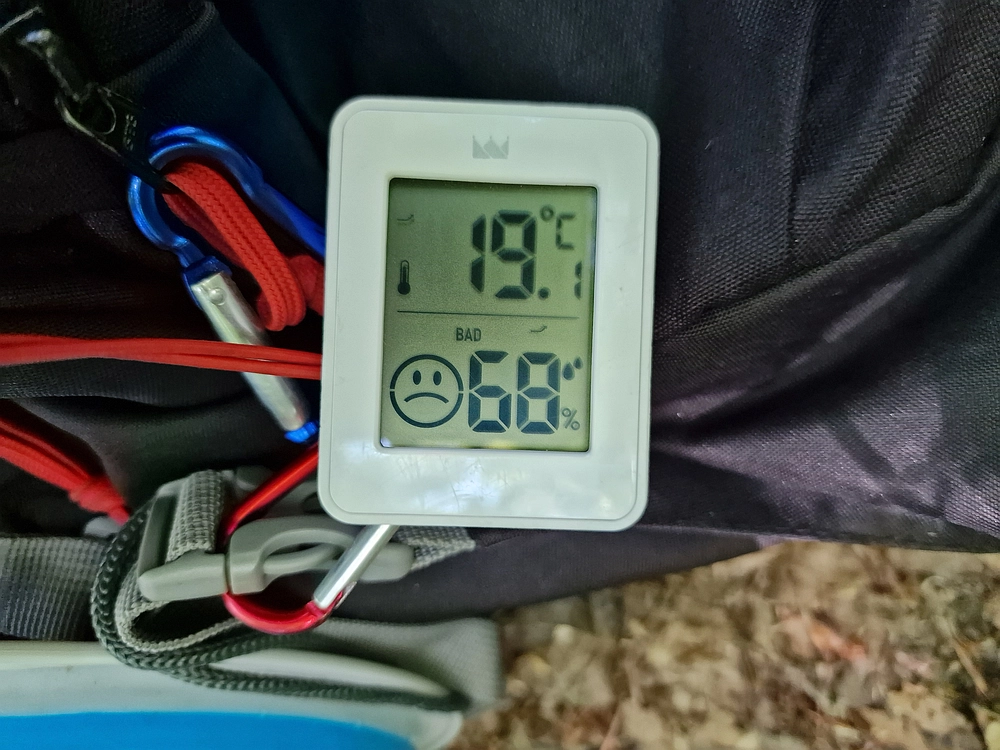 Slika je vidna v Google Chromu.