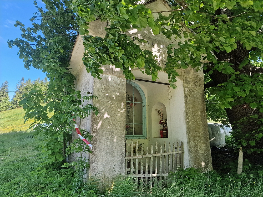 Slika je vidna v Google Chromu.