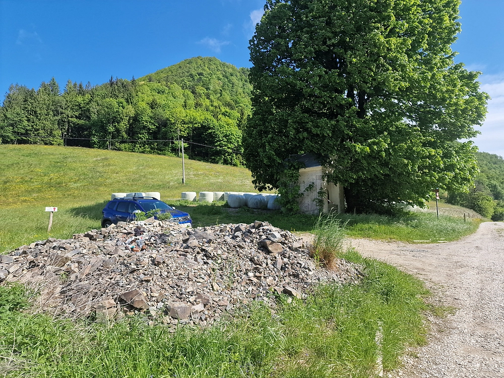 Slika je vidna v Google Chromu.