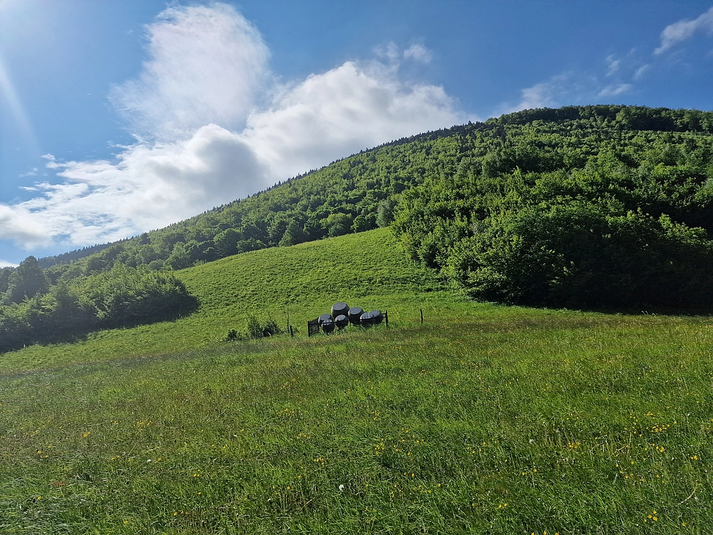 Slika je vidna v Google Chromu.