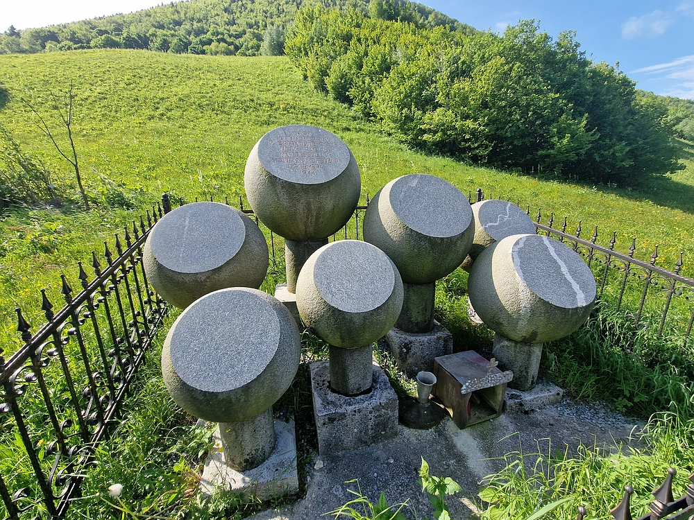 Slika je vidna v Google Chromu.