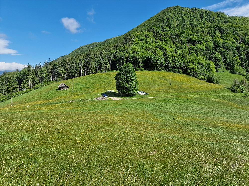 Slika je vidna v Google Chromu.
