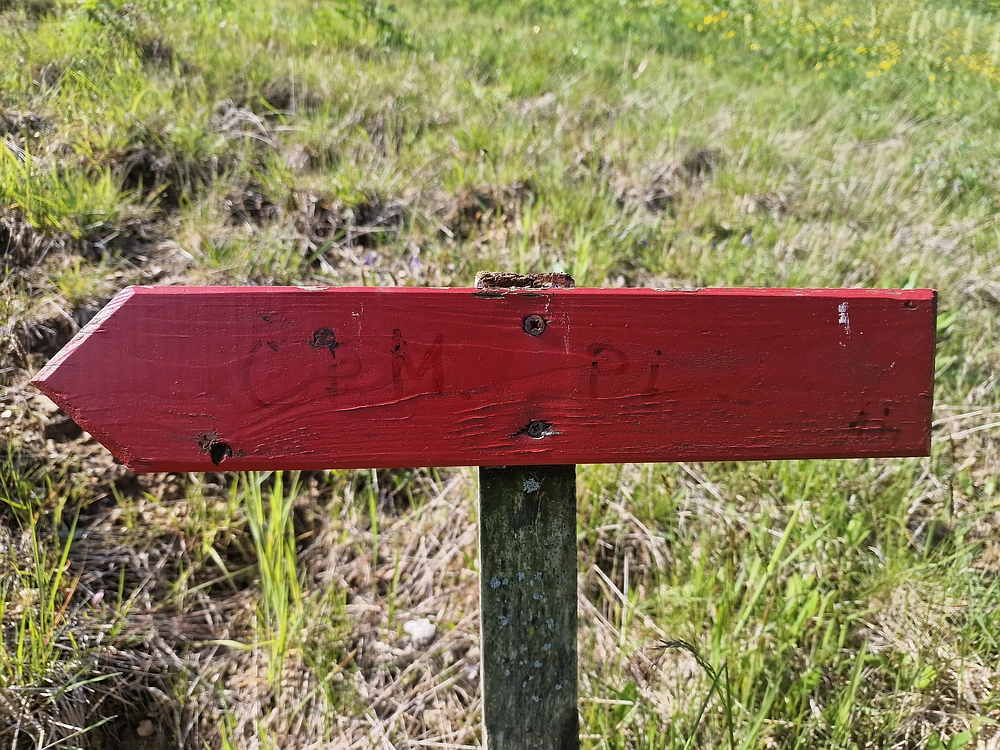 Slika je vidna v Google Chromu.