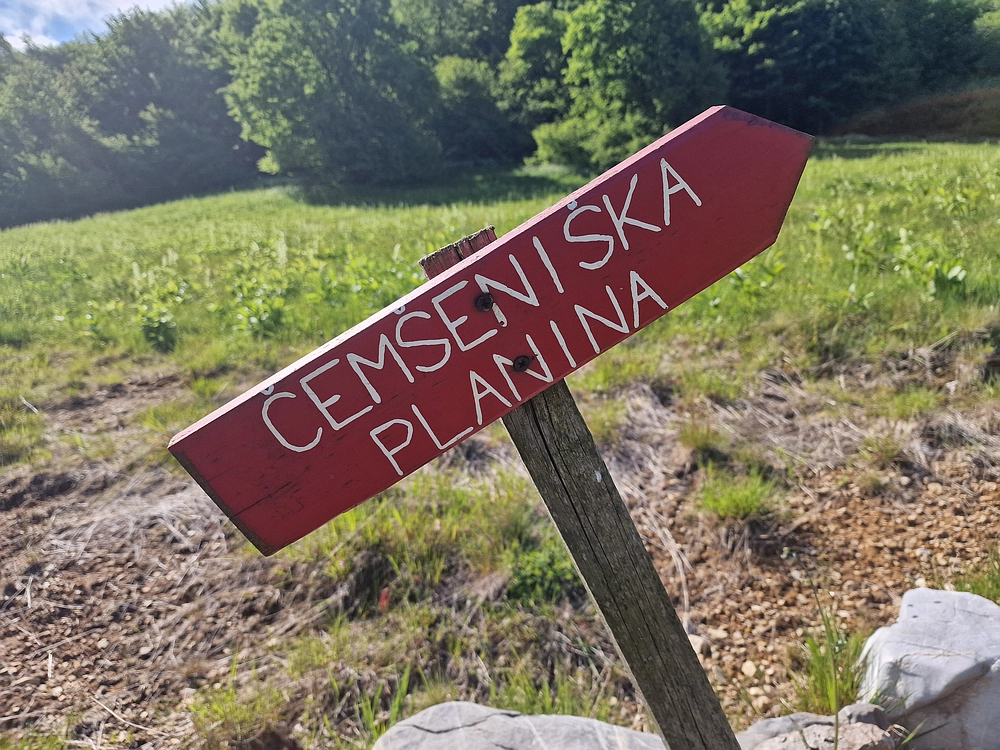 Slika je vidna v Google Chromu.